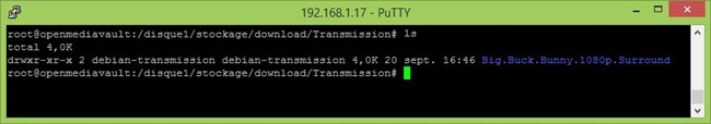 04.CouchPotato_transmission_CLI_Putty